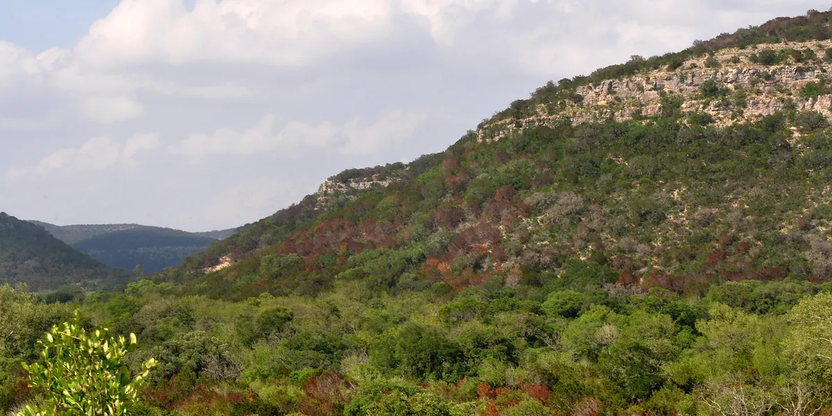 Limestone bluff typical of the Edwards Plateau in the Texas Hill Country